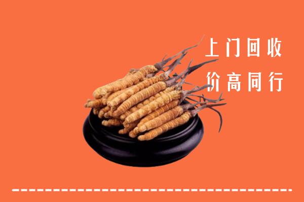 高价求购：禹城市回收散虫草