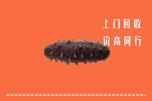 高价求购：禹城市回收海参