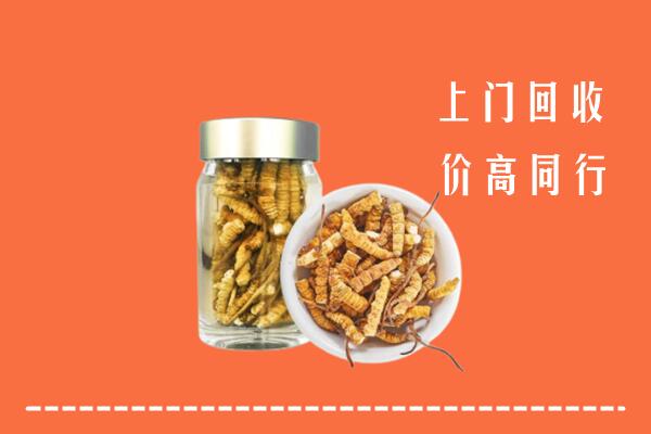 禹城市回收冬虫夏草