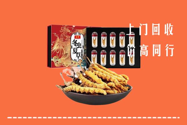 禹城市回收虫草